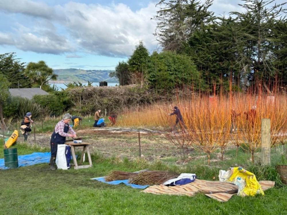 Annual Harvest, Seacliff cover image